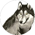 Superloup13 profile picture